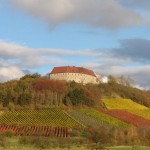 Weinbau-Schwarzer-Adler